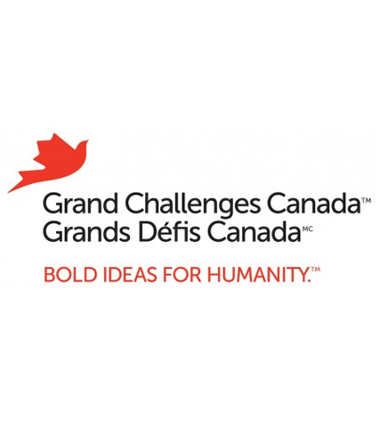 Grand challenges